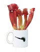 Karnivores mug with a Sarracenia inside