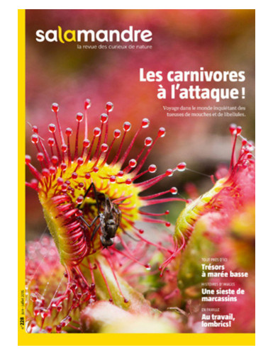 Carnivores on the attack! (No. 228 of the magazine "Salamandre")